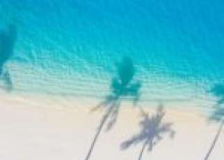 biały piasek turkusowa woda cień palm
