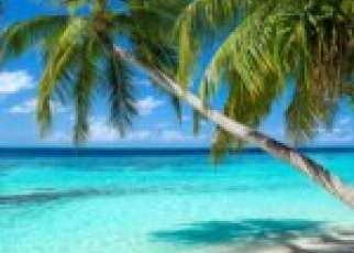 palmy plaża turkusowe morze egzotyka