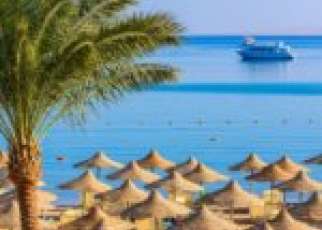egipt plaża parasole palma