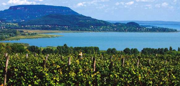 ​Budapeszt i Tokaj- w krainie wina, czardasza i go