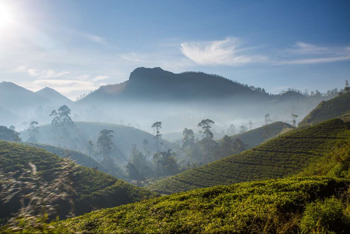 Sri Lanka - feriados e feriados!