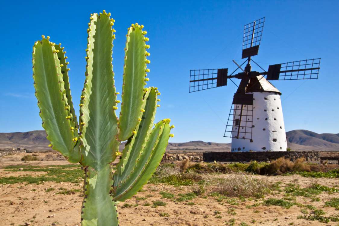 Viagens e férias em Fuerteventura - confira!