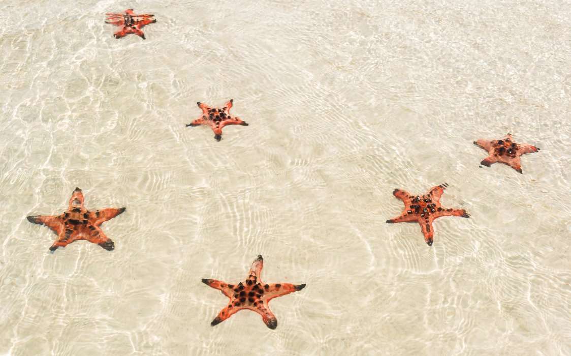 Praia Starfish em Phu Quoc, Vietnã