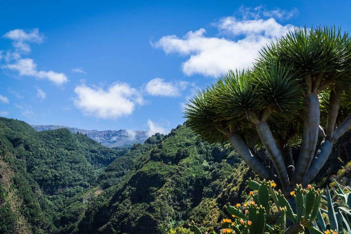 Descubra a desconhecida La Palma!