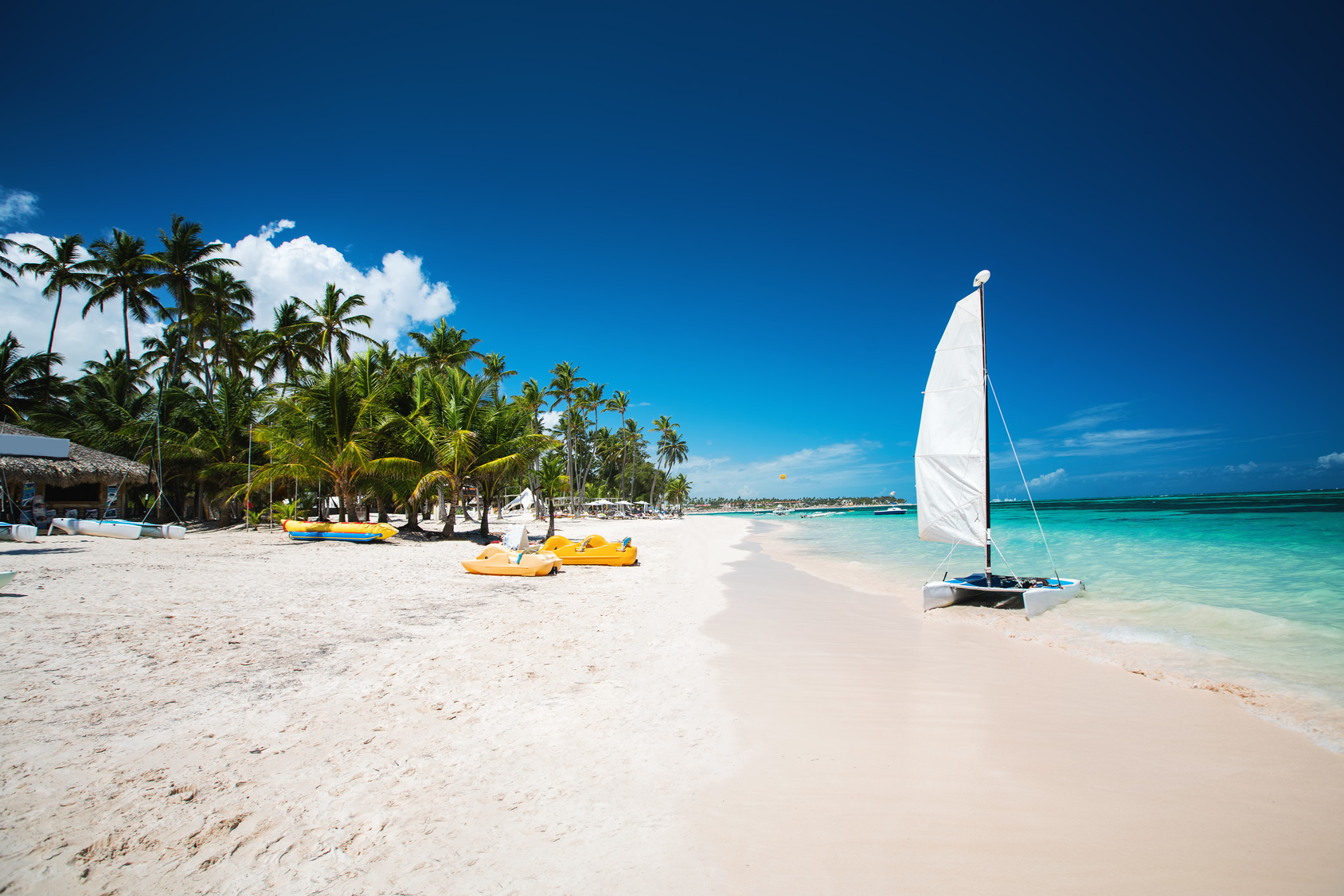 Dominikana, Punta Cana wakacje, wczasy, wycieczki styczeń 2024 Fly.pl